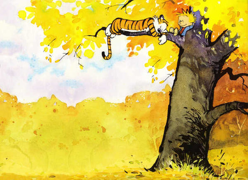 Jual Poster Comics Calvin & Hobbes 73940 APC