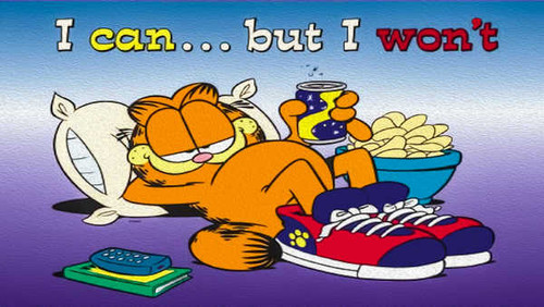 Jual Poster Garfield Garfield APC005 Jual Poster Garfield Garfield APC005