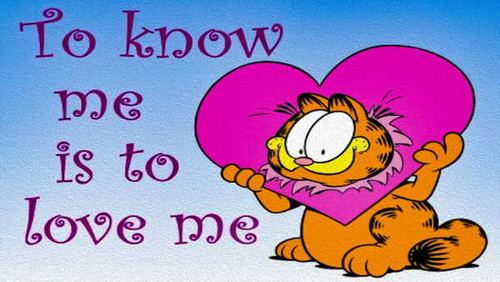 Jual Poster Garfield Garfield APC006 Jual Poster Garfield Garfield APC006