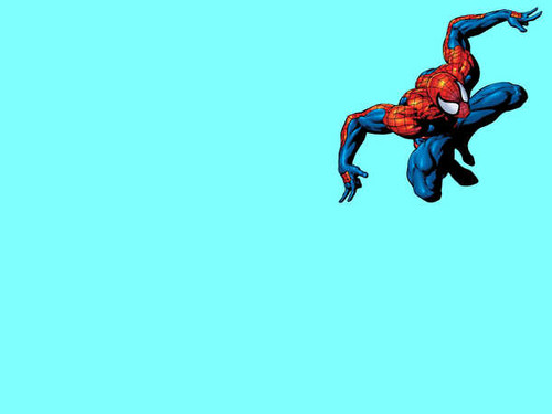 Jual Poster Spider Man Spider Man APC010