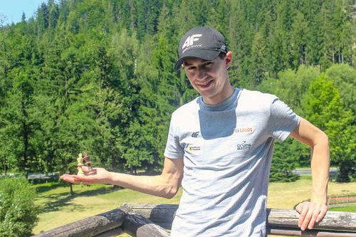Jual Poster Kamil Stoch Sports Kamil Stoch APC005