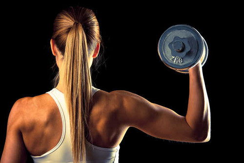 Jual Poster Sports Fitness APC040