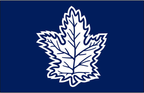 Jual Poster Toronto Maple Leafs Hockey Toronto Maple Leafs APC003493