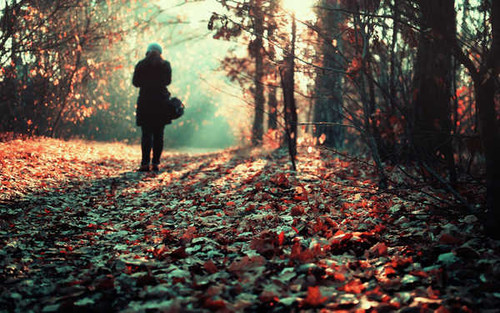 Jual Poster Alone Emo Fall Forest Leaf People Women Mood APC Jual Poster Alone Emo Fall Forest Leaf People Women Mood APC