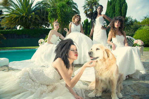 Jual Poster Bride Dog Women Bride APC