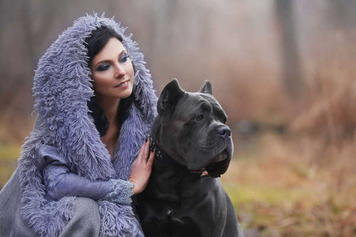 Jual Poster Cane Corso Depth Of Field Dog Girl Model Woman Models Model7 APC