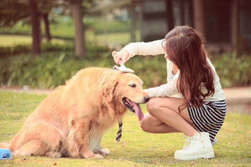 Jual Poster Dog Women Asian APC