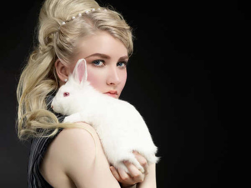 Jual Poster Models Model APC188