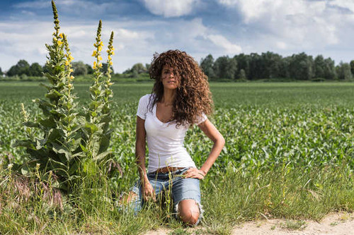 Jual Poster Models Model APC966