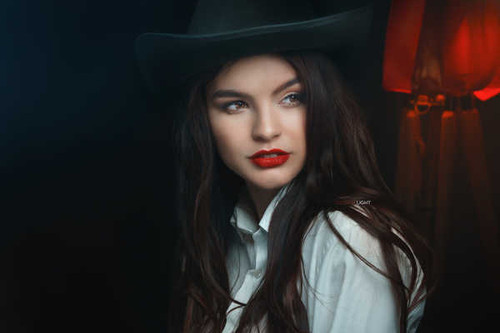 Jual Poster Models Model APC1420