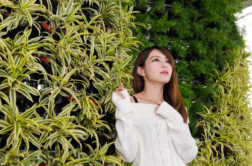 Jual Poster Models Zhang Qi Jun APC073