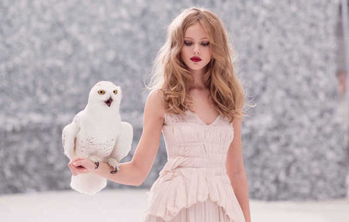 Jual Poster Snowy Owl Women Frida Gustavsson APC