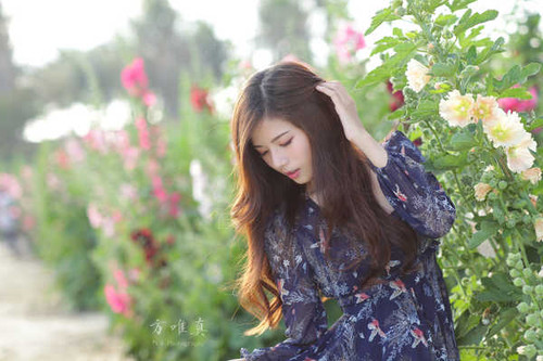 Jual Poster Women Asian APC2685