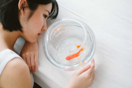 Jual Poster Women Asian APC2747