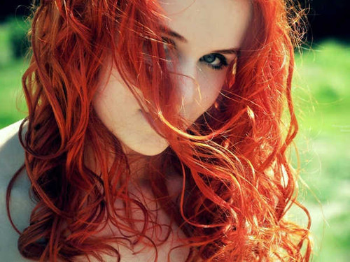 Jual Poster Women Face APC148