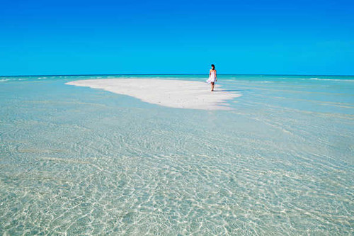 Jual Poster Women Rear APC033