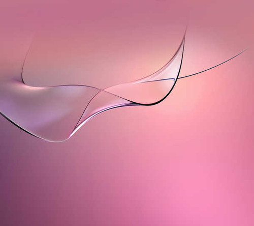 Jual Poster curves pink WPS