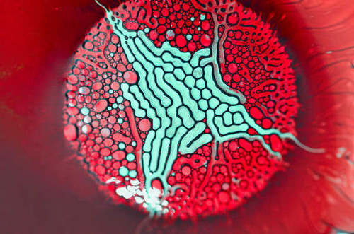 Jual Poster ferrofluid red hd 4k WPS