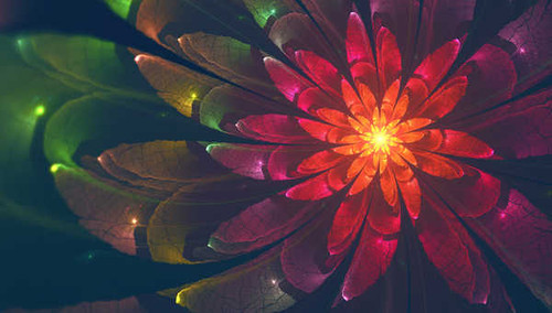 Jual Poster fractal flower colorful neon hd 4k WPS30