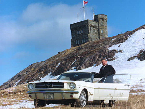 Jual Poster Ford Ford Mustang APC097