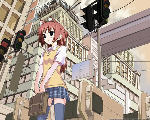 Poster Anime Original APC749