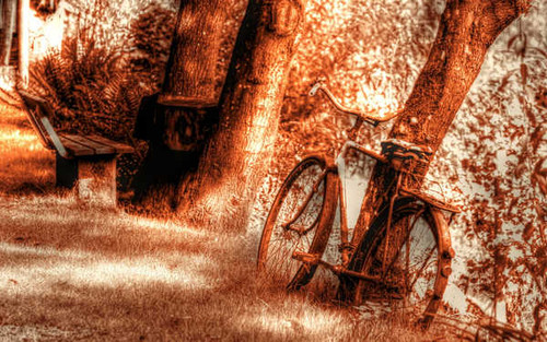 Jual Poster Vehicles Bicycle APC010