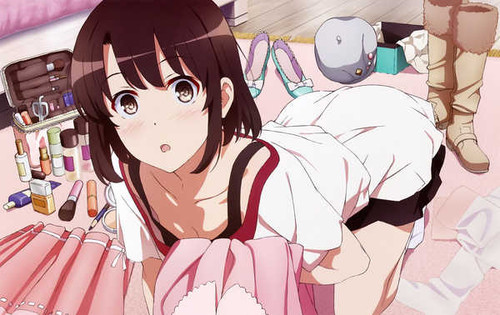 Poster Anime Saekano How to Raise a Boring Girlfriend APC006