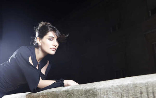 Jual Poster Actresses Caterina Murino Actress Italian APC002