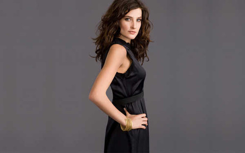 Jual Poster Actresses Cobie Smulders APC002