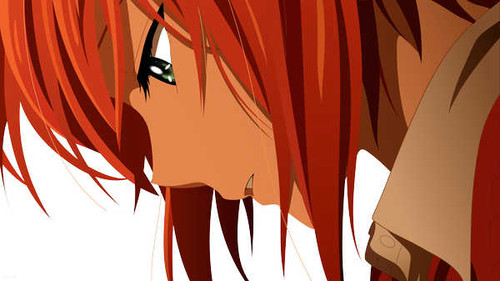 Poster Anime The Ancient Magus' Bride APC005A