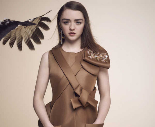 Jual Poster Actresses Maisie Williams Actress Brunette English1 APC