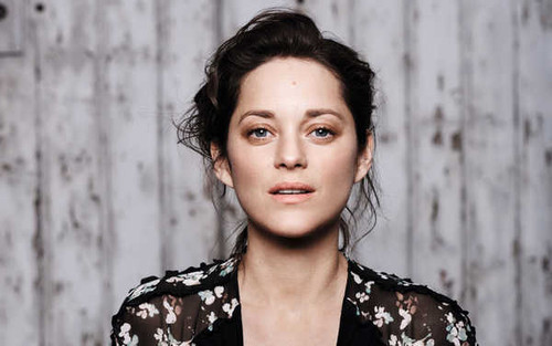 Jual Poster Actresses Marion Cotillard Actress Blue Eyes Brunette Depth Of Field Face French0 APC