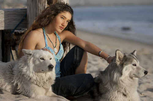 Jual Poster Actresses Q'Orianka Kilcher Actress Animal Beach Celebrity Dog Girl Pet Siberian Husky Woman APC