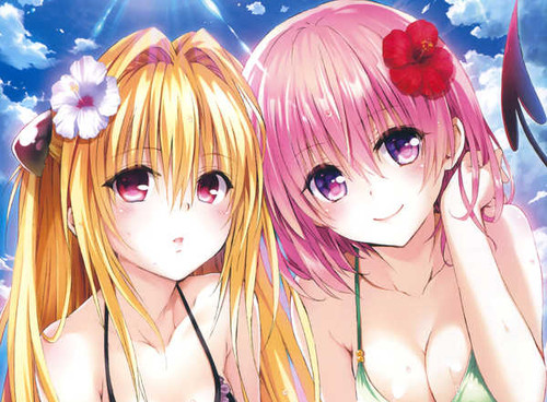 Poster Anime To Love Ru APC011A