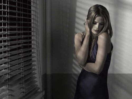 Jual Poster Actresses Stana Katic Actress Blue Dress Brunette APC