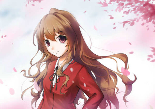 Poster Anime Toradora! APC003