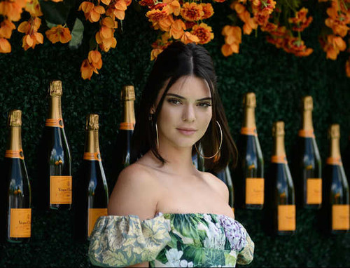 Jual Poster Models Kendall Jenner APC008