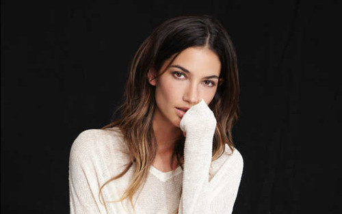 Jual Poster Models Lily Aldridge American Brown Eyes Brunette Long Hair Model APC