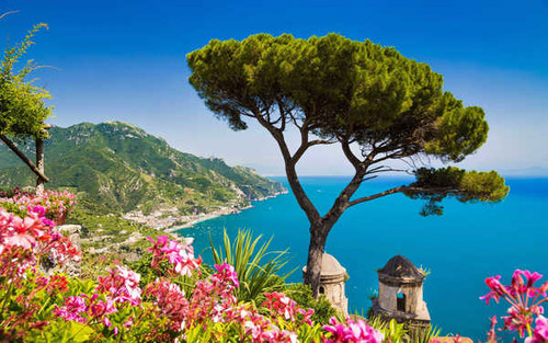 Jual Poster Amalfi Coastline Flower Horizon Italy Ocean Pink Flower Sea Tree Towns Amalfi APC