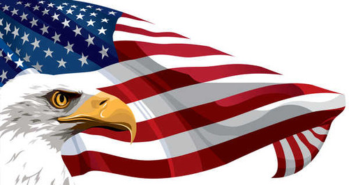 Jual Poster American Flag Eagle Flag Flags American Flag5 APC14