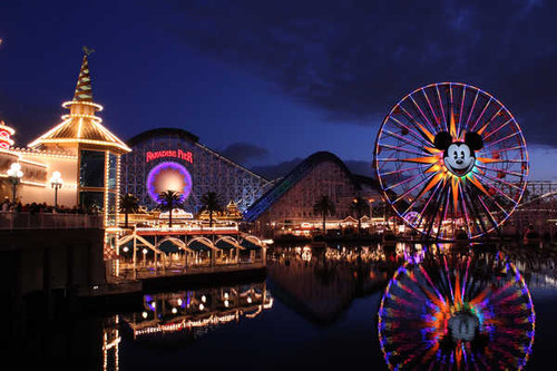 Jual Poster Amusement Park California Disneyland Ferris Wheel Light Night Reflection Roller Coaster Disney Disneyland APC