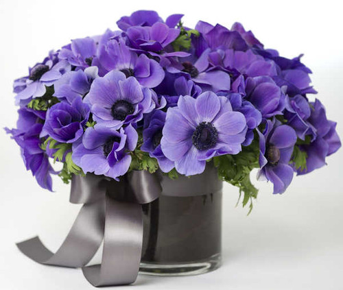Jual Poster Anemone Bouquet Flower Purple Flower Ribbon Vase Violet Man Made Flower APC