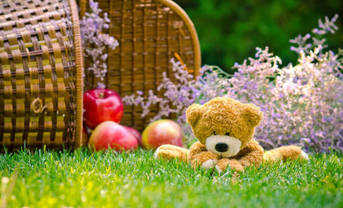 Jual Poster Apple Basket Grass Stuffed Animal Teddy Bear Man Made Stuffed Animal APC