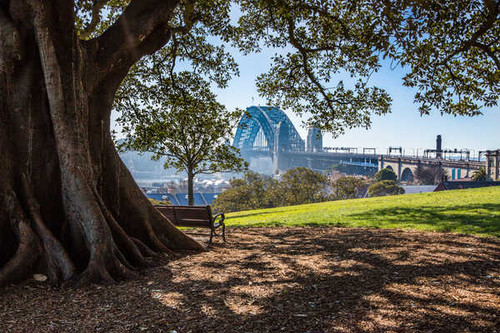 Jual Poster Architecture Australia Bench City Sydney Sydney Harbour Bridge Tree Cities Sydney APC