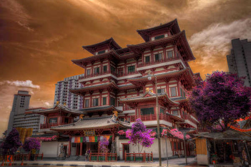 Jual Poster Architecture Blossom Building HDR Man Made Singapore Tree Buildings Building APC