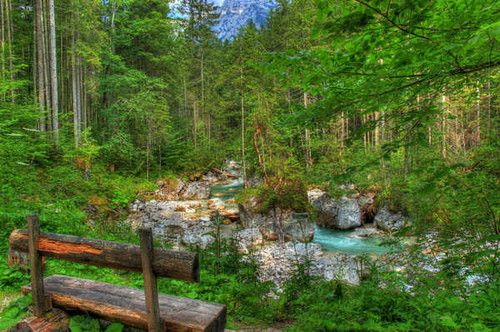 Jual Poster Bench Forest Green HDR Rock Stream Tree Man Made Bench APC Jual Poster Bench Forest Green HDR Rock Stream Tree Man Made Bench APC