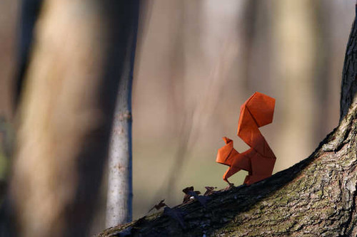 Jual Poster Blur Origami Squirrel Man Made Origami APC