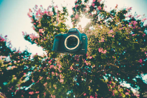 Jual Poster Bokeh Camera Canon Depth Of Field Flower Tree Man Made Camera APC