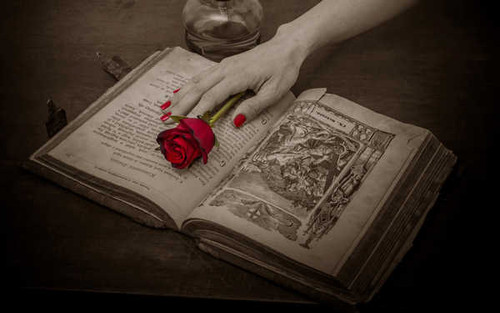 Jual Poster Book Hand Religious Rose Selective Color Man Made Book APC