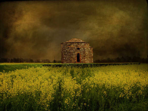 Jual Poster Brick Building Field Rapeseed Buildings Building APC